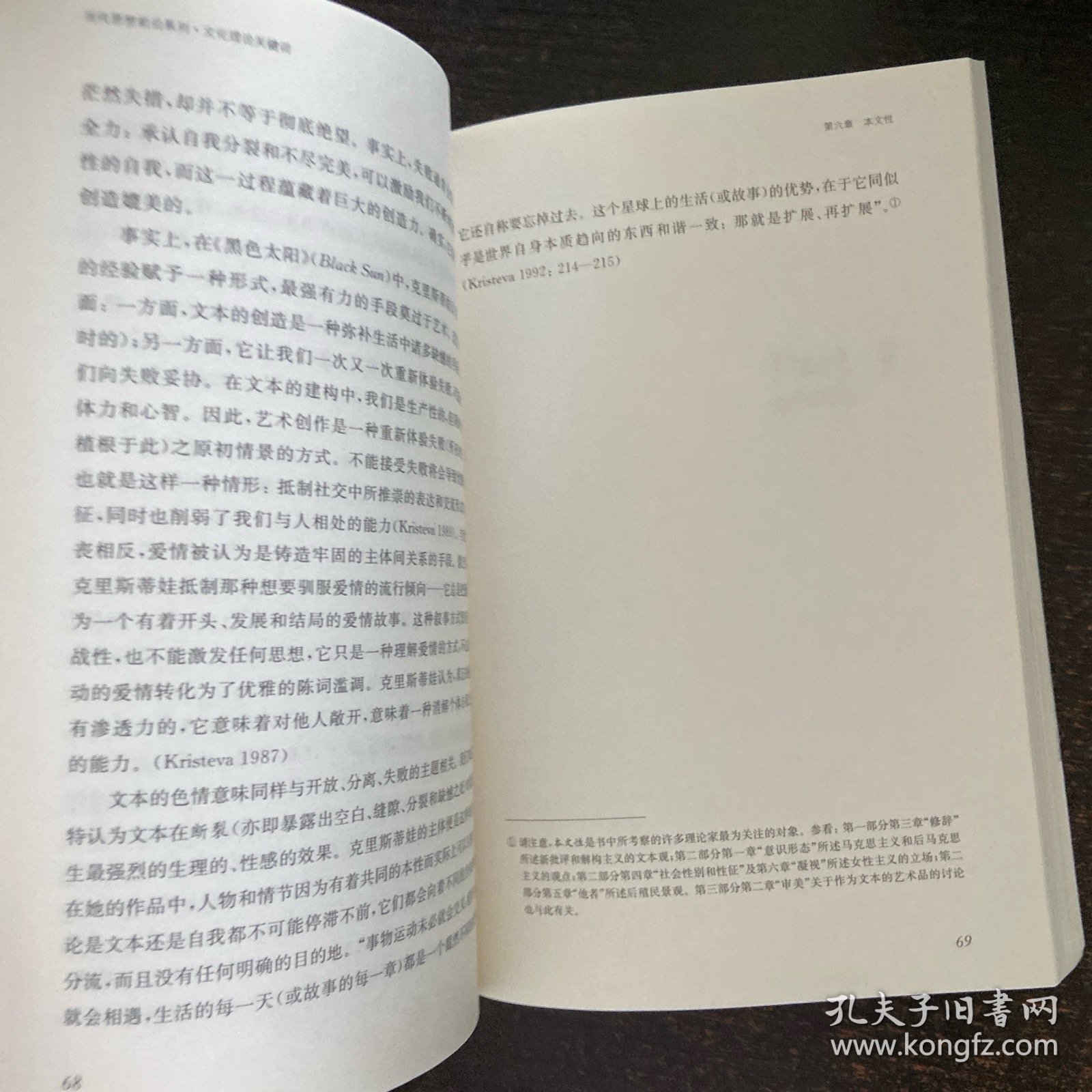 凤凰文库·当代思想前沿系列：文化理论关键词