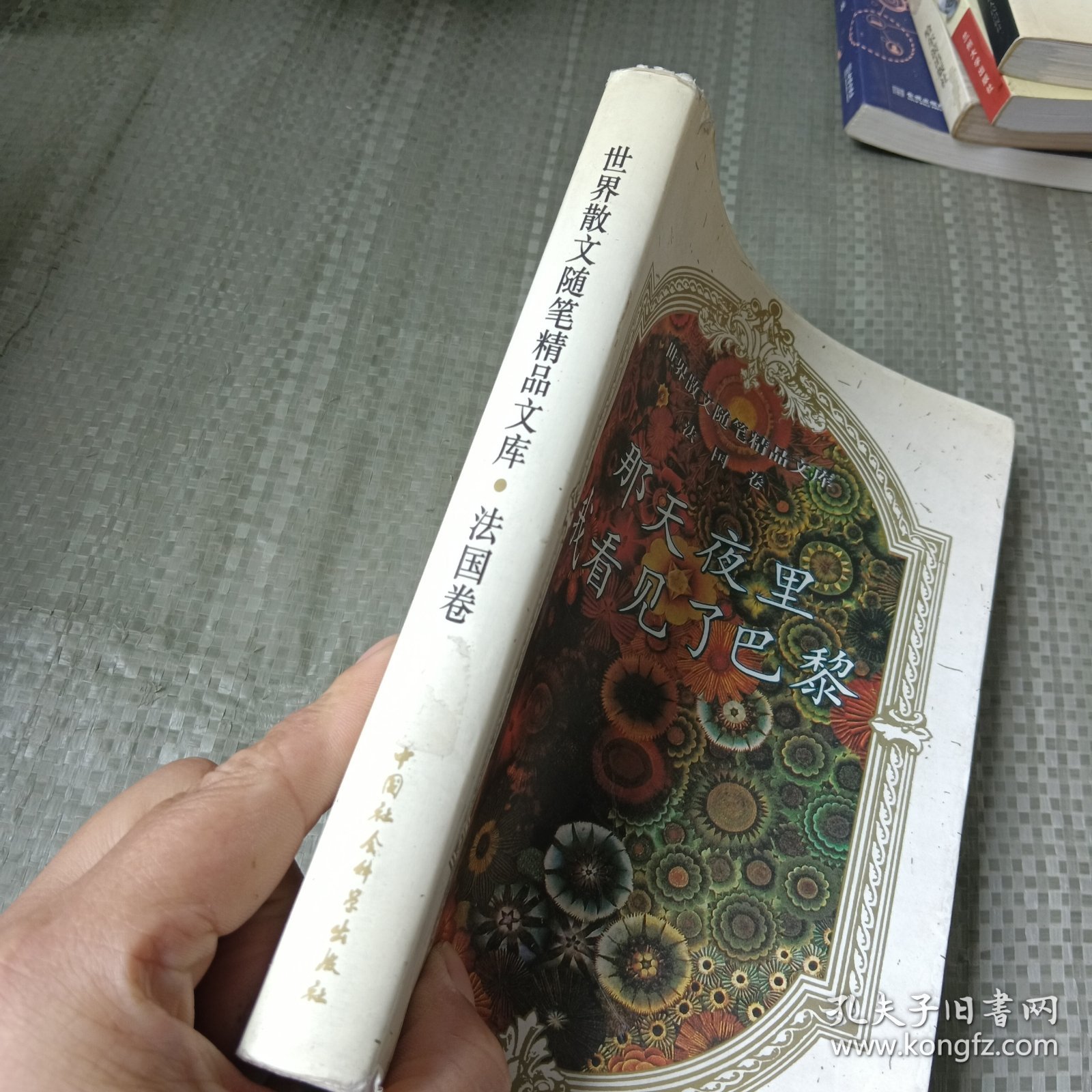 那天夜里，我看见了巴黎