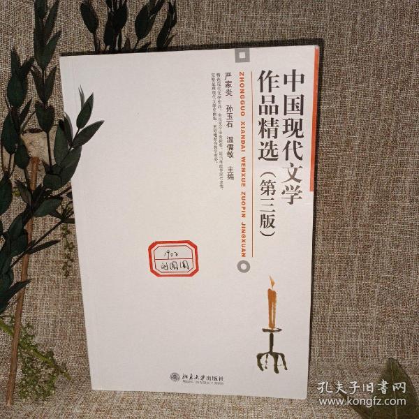 中国现代文学作品精选（第3版）