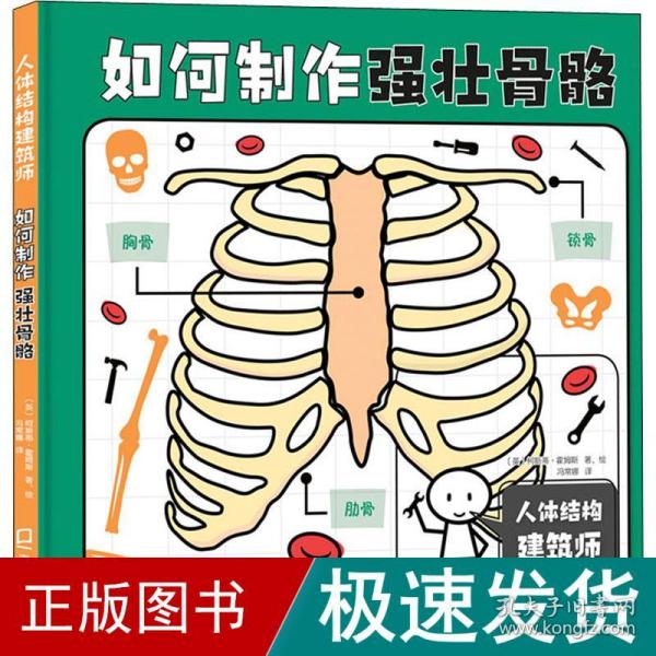 人体结构建筑师：如何制作强壮骨骼