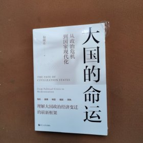 大国的命运：从政治危机到国家现代化