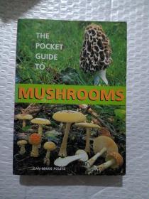 THE POCKET GUIDE TO MUSHROOMS