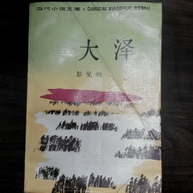 【二手8成新】大泽普通图书/国学古籍/社会文化9780000000000