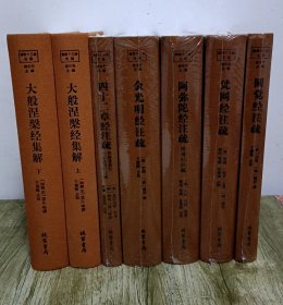 佛教十三经注疏 圆觉经注疏 梵网经注疏 大般涅槃经 金光明经注疏 阿弥陀经注疏 四十二章经注疏