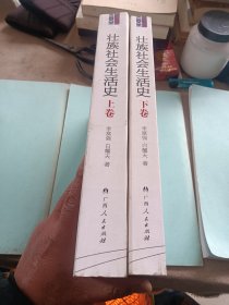 壮族社会生活史（套装上下册）