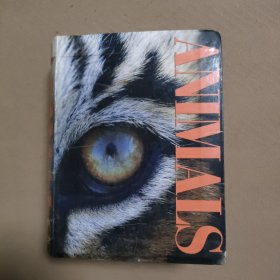 The Little Big Book of Animals