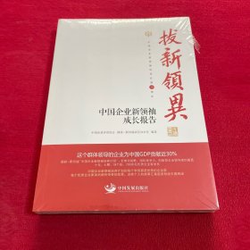 拔新领异 中国企业新领袖成长报告