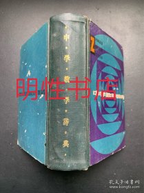 中学数学辞典（精装本）