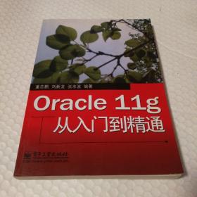 Oracle 11g从入门到精通【无光盘。自然旧。内页干净无勾画】