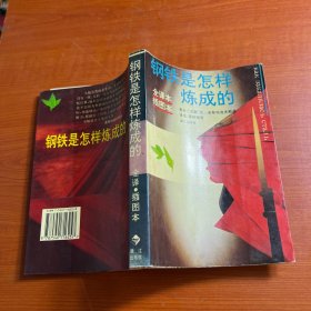 钢铁是怎样炼成的