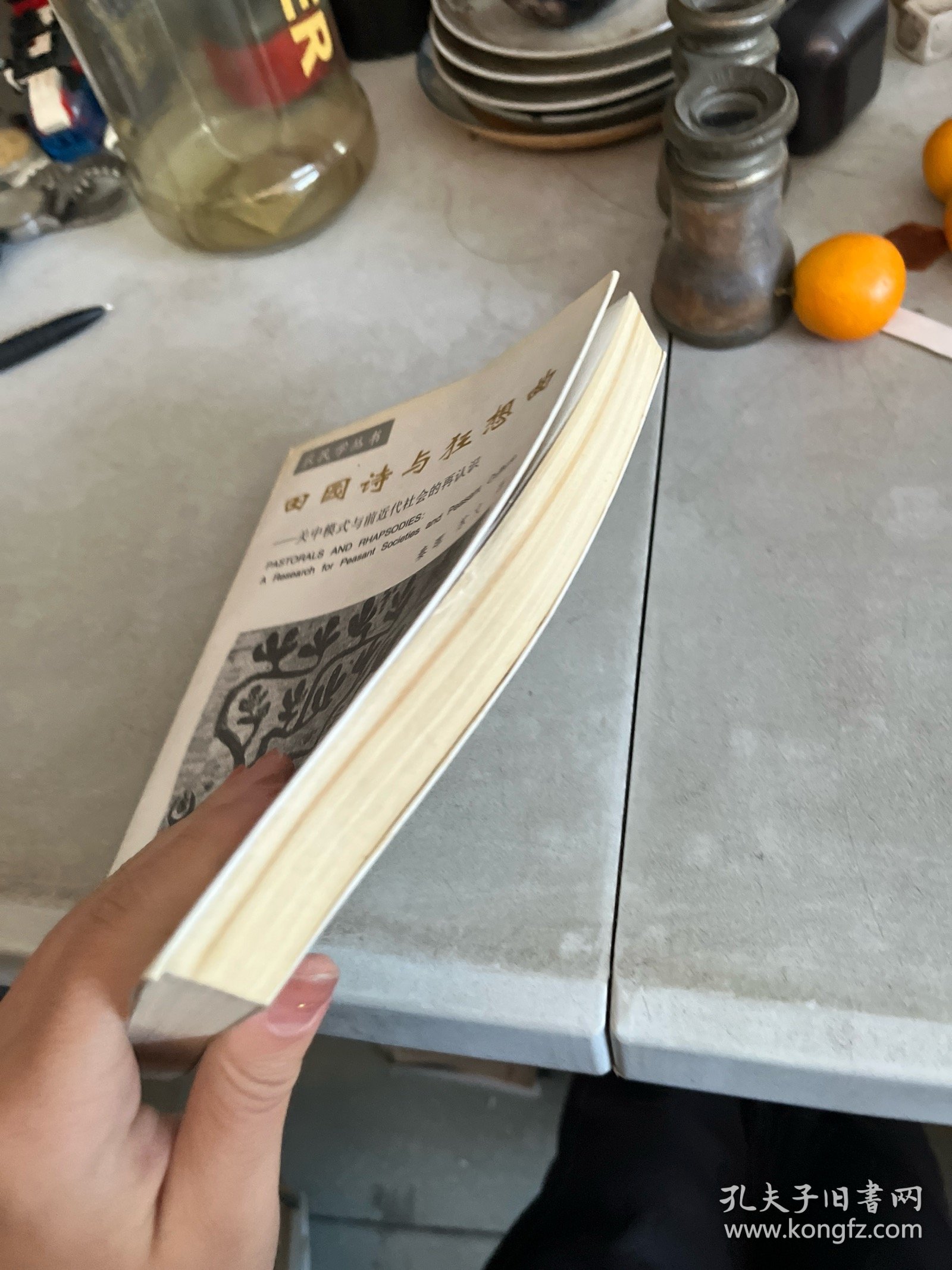 田园诗与狂想曲：关中模式与前近代社会的再认识