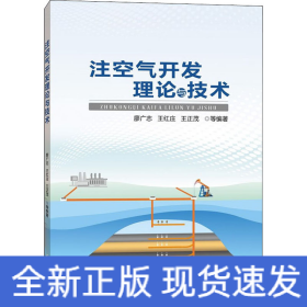 注空氣開發(fā)理論與技術(shù)