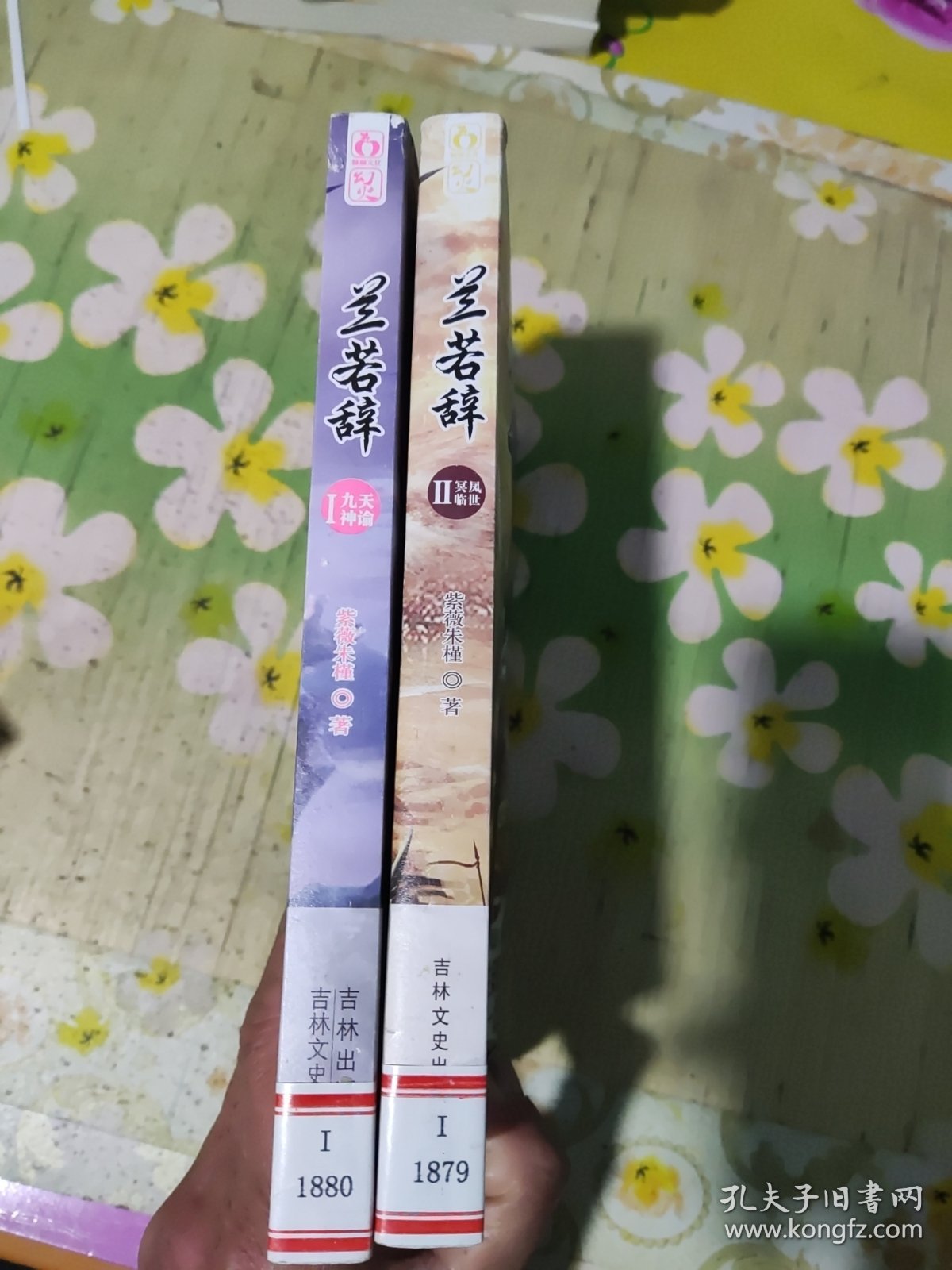 兰若辞1：九天神偷、2：冥凤临世