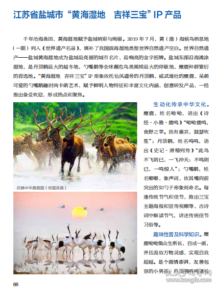 保正版！2021年度中国旅游产业影响力典型案例集9787503270543中国旅游出版社中国旅游报社