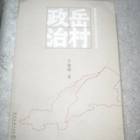 岳村政治：转型期中国乡村政治结构的变迁