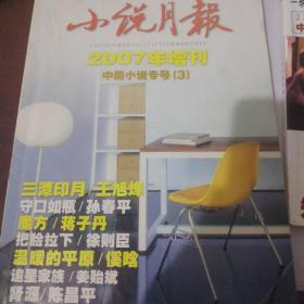 小说月报2007年增刊