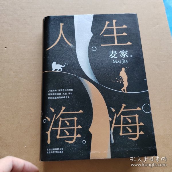 麦家：人生海海（茅盾文学奖得主麦家2019年强力之作）