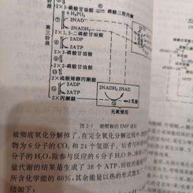 废水厌氧生物处理工程