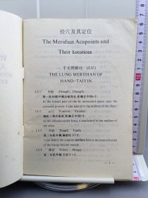 国标针灸经穴奇穴人体模型