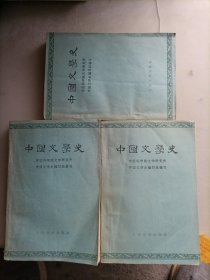 中国文学史一、二、三（1-3）3册合售