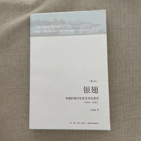 银翅：中国的地方社会与文化变迁