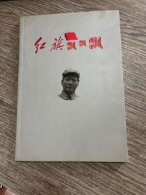 红旗飘飘飘（盛世典藏审视历史）正版