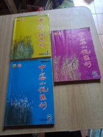 中篇小说选刊【2004年第3 4 5期】