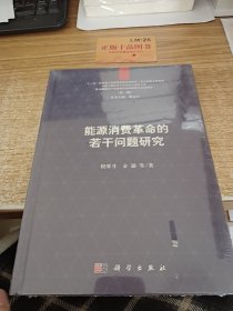 能源消费革命的若干问题研究