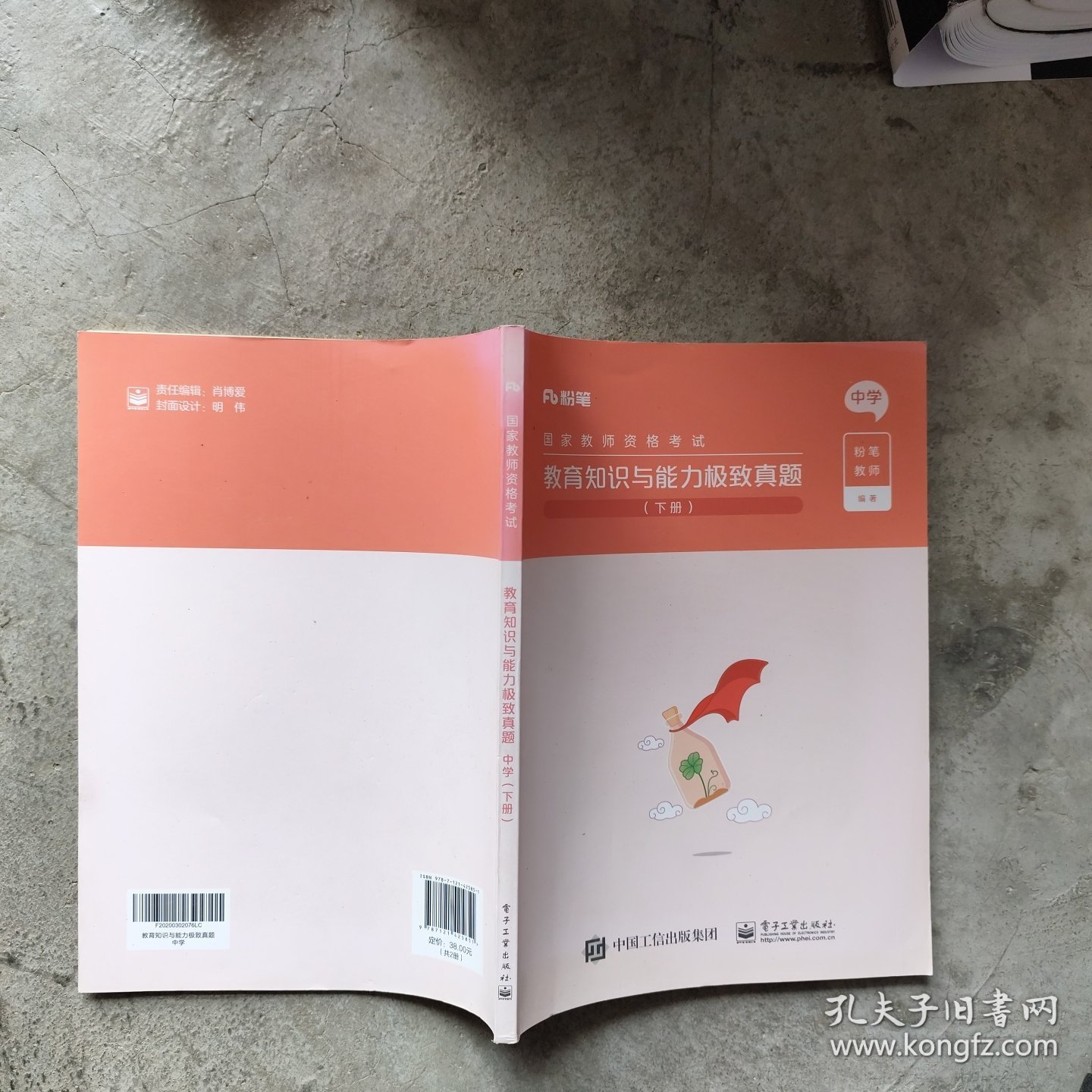 教育知识与能力极致真题（下册)