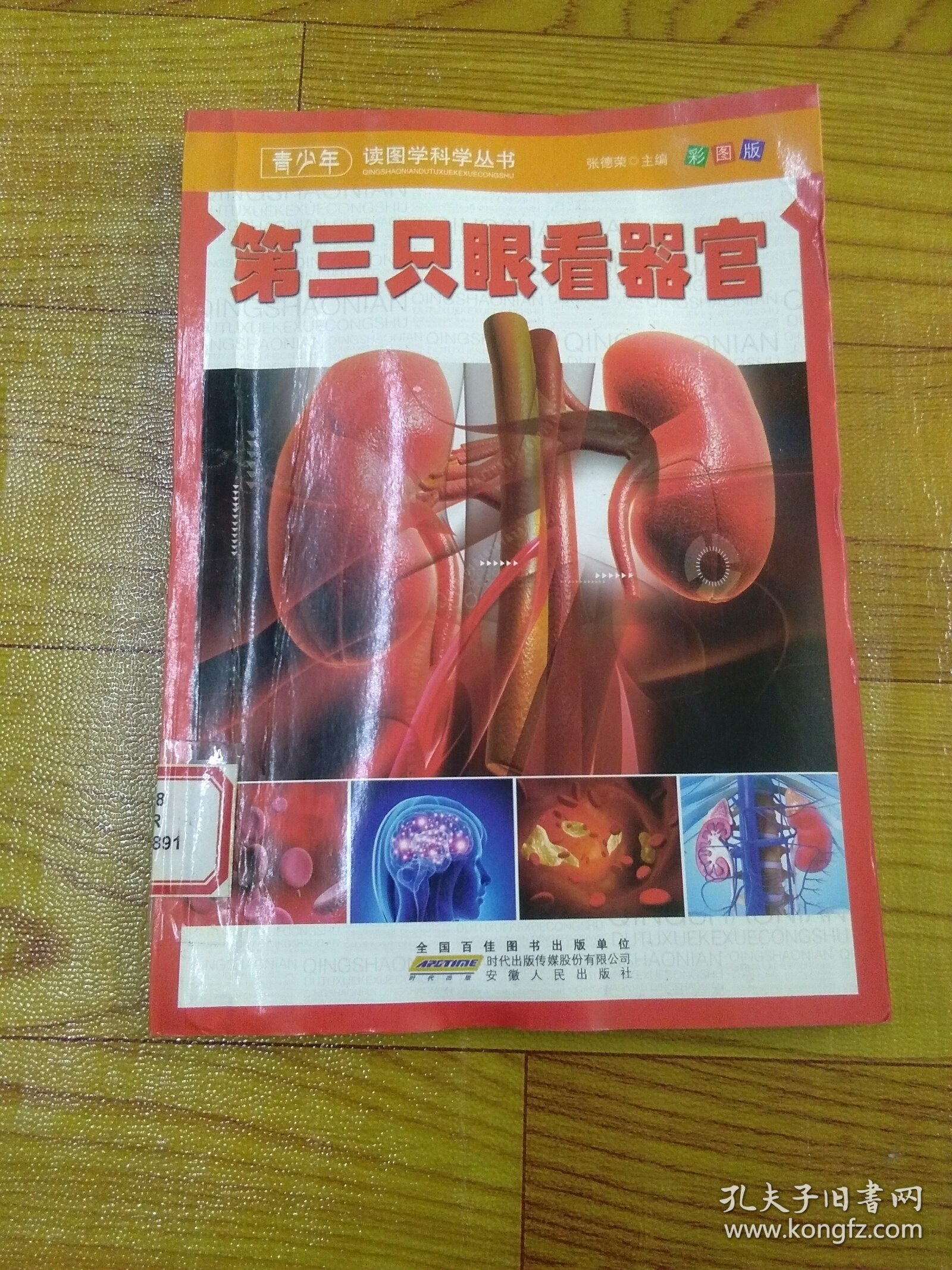 第三只眼看器官