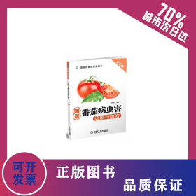 圖說番茄病蟲害診斷與防治 9787111461647
