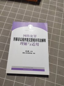 网络犯罪刑事诉讼程序意见暨相关司法解释理解与适用