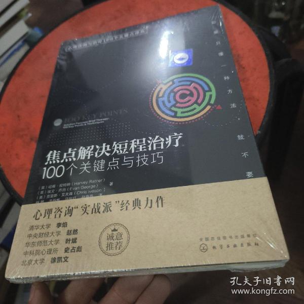 心理咨询与治疗100个关键点译丛：焦点解决短程治疗（100个关键点与技巧）