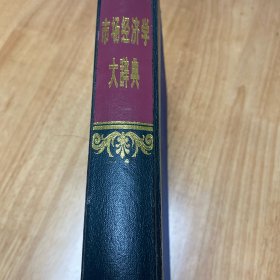 市场经济学大辞典