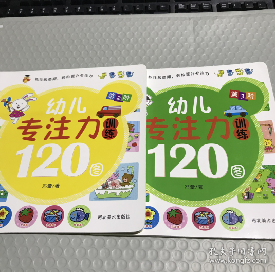 幼儿专注力训练120图（全4册）