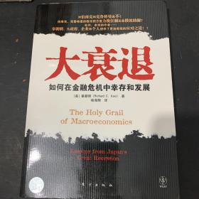 大衰退：如何在金融风暴中幸存和发展