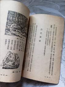 高级小学适用 自然