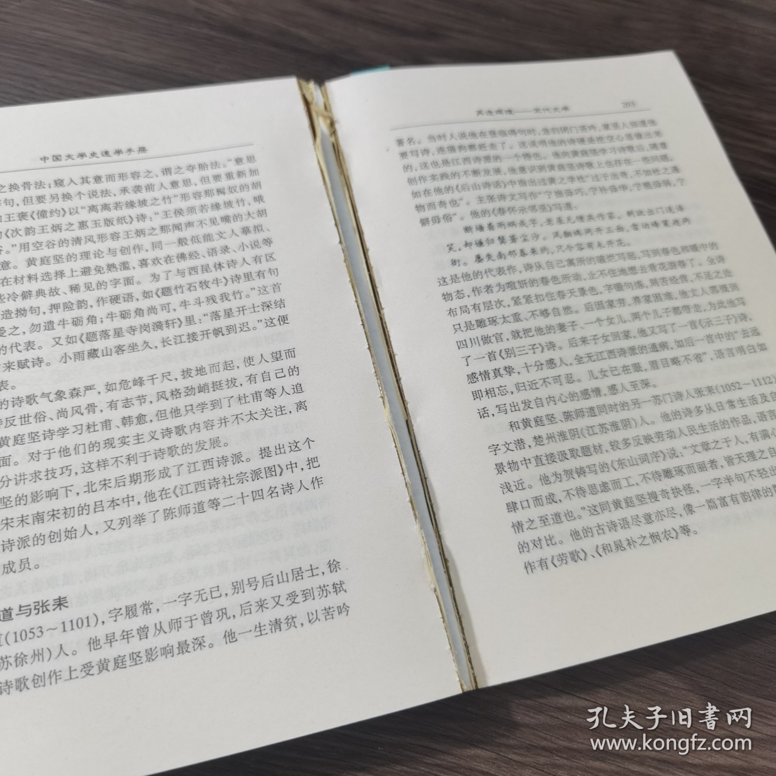 中国文学史速学手册