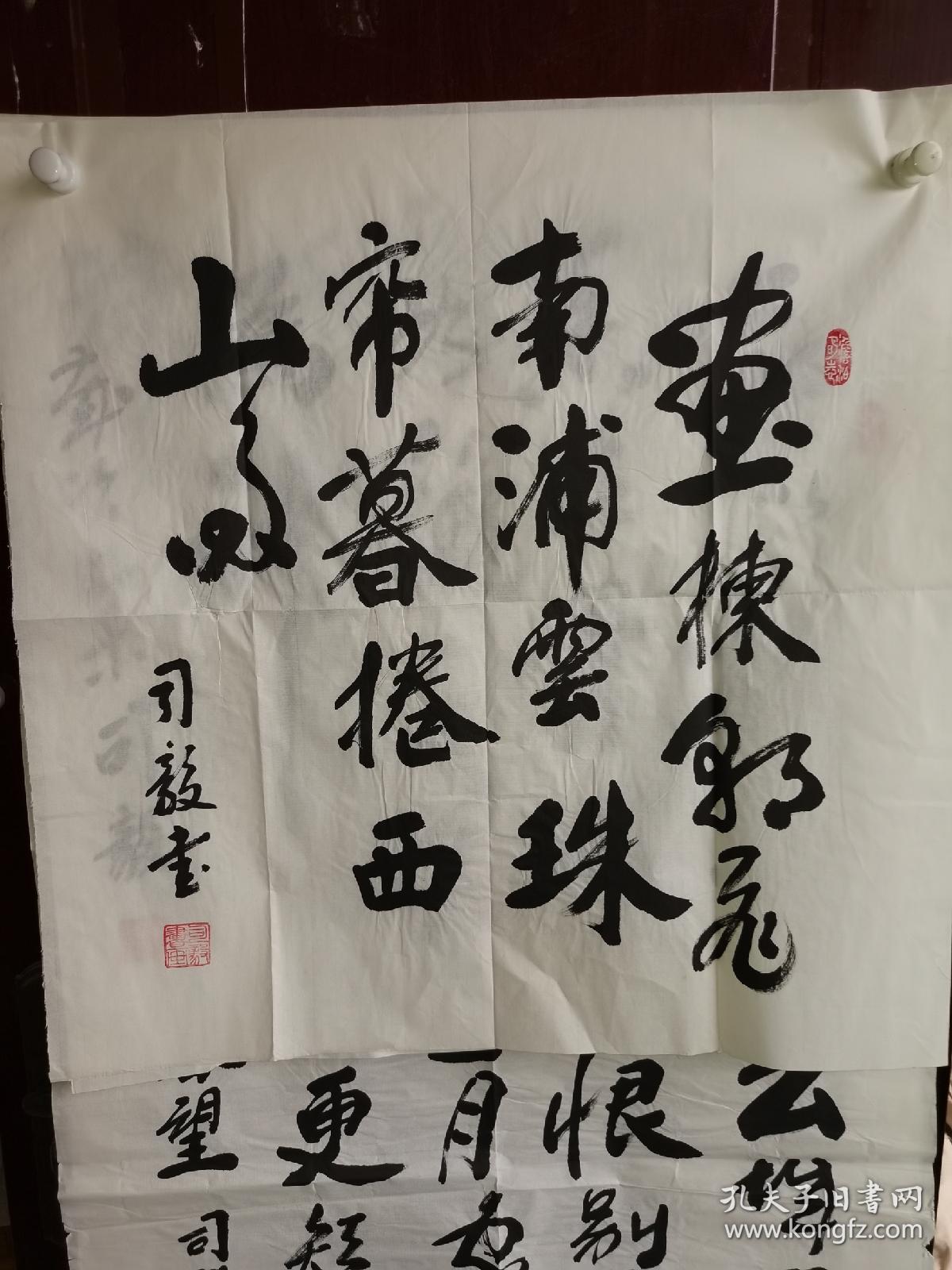 司毅书法斗方 号清逸轩主人。1947 年 2 月生于甘肃省陇南市武都区城关镇。中共党员，毕业于甘肃省广播电视大学。1963 年 5 月参加财税工作。后调任武都县法院书记员，审判员、庭长，县司法局副局长，县委政法办公室主任。陇南市卫生学校副校长，校党委书记。现任甘肃省诗词学会会员，甘肃省九源书画院院士，甘肃省陇南市书法家协会理事。2014年8月在北京钟书国际文化出版社