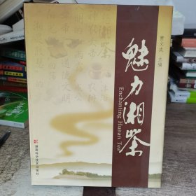 魅力湘茶