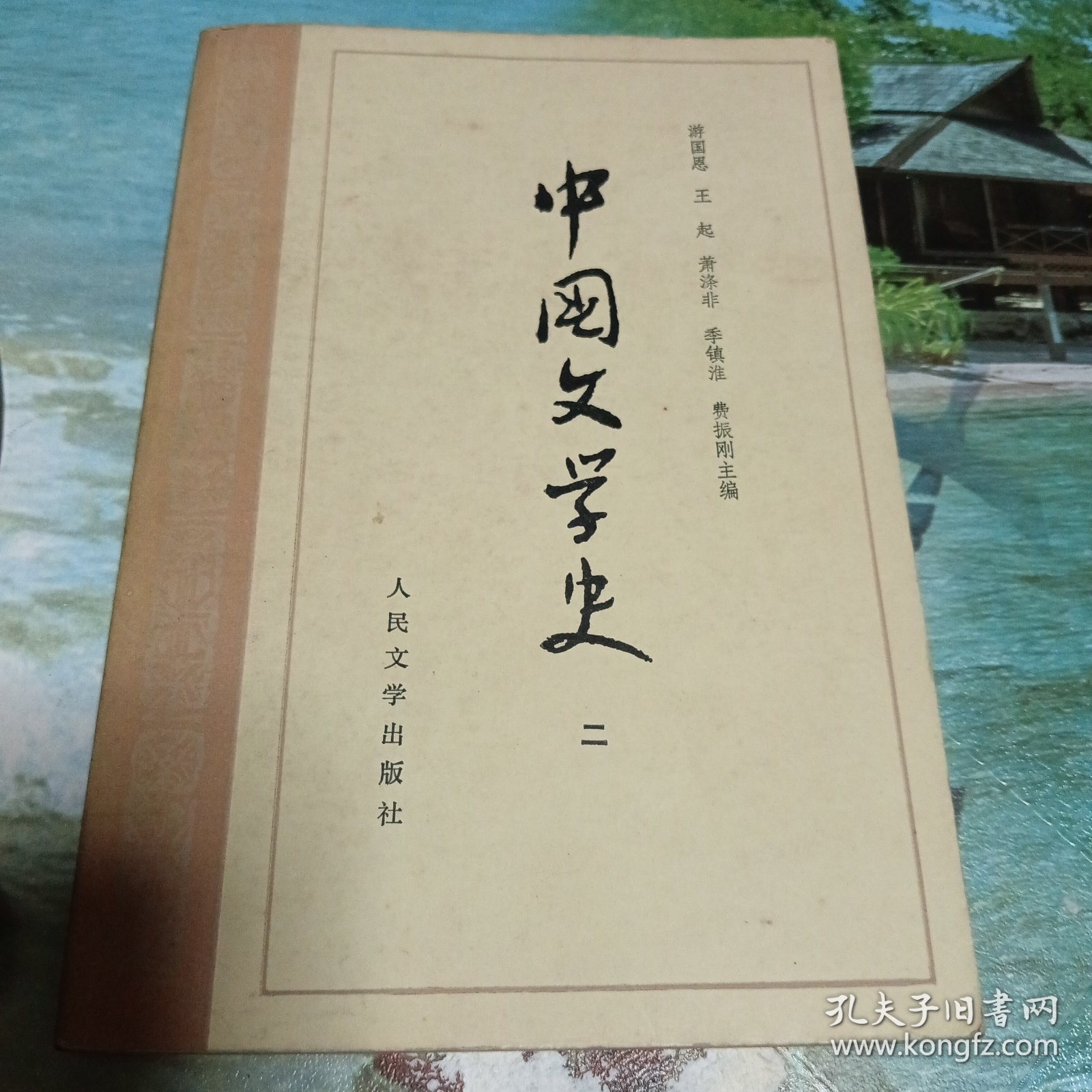 中国文学史（一二三四册）