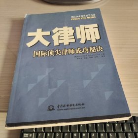 大律师:国际顶尖律师成功秘诀 (平装)