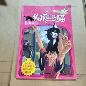 头顶上的猫