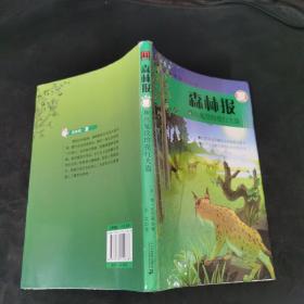 森林报·神出鬼没的夜行大盗：夏（彩色版）