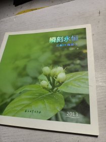 瞬刻永恒 : 竺新叶摄影集