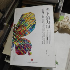当下的力量实践手册