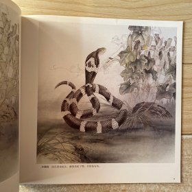 中国工笔画.十二生肖画法.1.2.3（三本合售）