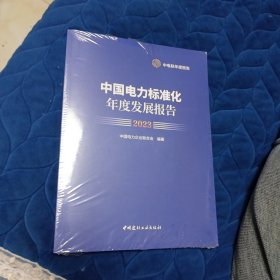 中国电力标准化年度发展报告2023附光盘 全新未开封