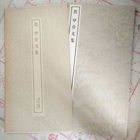 殷甲骨文集 二玄社刊书迹名品丛刊