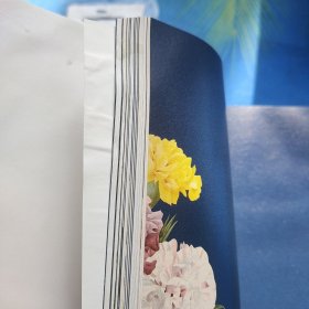 夏花账 3 我的灵魂每天发现一个王国